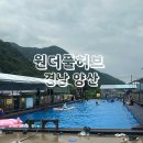 원더풀 펜션 | 원더풀 허브 경남 양산 당일 다이빙 수영장 평상 추천 후기