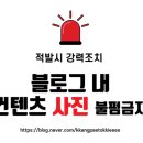 에코토피아근린공원 | 경산 물놀이장, 존잼, 꿀잼, 이번 여름 꼭 가봐야 할곳