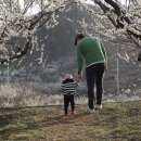 야한여자미용실 - 부천시 오정구 고강동 | 야한여자미용실