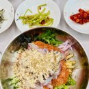거제식당 | 거제 물회 맛집 부전회식당 후기