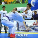 BD 주짓수 이미지