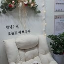 스담멍스 이미지