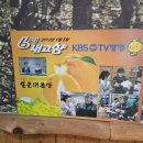 도대농장 네이버블로그