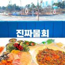 물회세상 | 영종도현지인맛집 구읍뱃터횟집추천 영종도횟집 진짜물회 후기