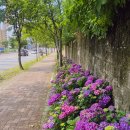 너릿재길1 이미지