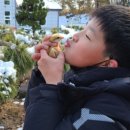 강경지역아동센터 이미지