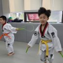 힘튼태권도 네이버블로그