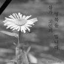 예뻐예뻐
