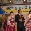 선경타올