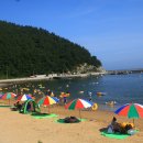 방죽포해수욕장(송림) 이미지