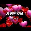 채희 이미지