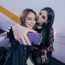 더블유씨엘 이미지