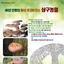 여주-0043 이미지