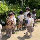 유성유치원 이미지