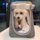 올리스24 명지점 이미지