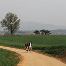 안성농장 이미지