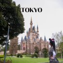 해피하모니 | 일본 도쿄 디즈니랜드 후기 디즈니씨 2일 코스 DPA 꿀팁 총정리