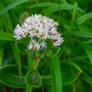 개랑 나들이 이미지