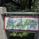 국채보상운동기념공원공영주차장 이미지