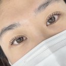 가희브로우