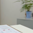 브로우아트 - 서구 둔산로230번길 23 | 부산 입술문신 추천 ✨ 브로우아포유 내돈내산 후기｜자연스러운 혈색 립아트 만족!