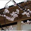 희원 이미지