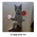 UR(파주시)-[헤이리로]-상-3 | [결혼준비] 파주 헤이리시네마 영화관 프로포즈 받은 후기(+프로포즈 준비)