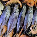 봉암한우농장 | 한산도숙박 하시면 다양한 섬야채 농촌체험 고등어낚시 전갱이낚시 어촌체험 무료제공 도시어부 감성돔...