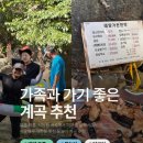 바위집민박 | [여행, 캠핑] #내돈내산 가족과 가기 좋은 광양 닭구이 맛집&amp;계곡 맛집 추천 : 태양가민박