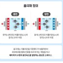 2023년 11월 10일 신문을 통해 알게 된 것들 이미지