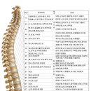 부천수림한방병원 이미지