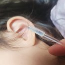 딕스 | 아이있는 집 필수템 발견… 귀파기 난이도 확 내려간 ‘끈끈이 귀이개 렌딕스’ 사용 후기