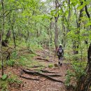 [제천 가은산] 청풍호 비경을 품은 아찔한 바위 암릉 산행 (둥지봉 &amp; 새바위 코스) 26.05.28(목)