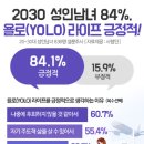 욜로유통 이미지