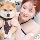 멍슈 이미지