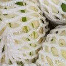 선이네농장 이미지