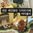 버터블리
