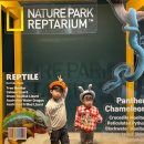 거북 파크 | [대구/달성군] 대구 네이처파크 후기/ 대구 동물원/ 대구 가볼만한곳 / 백사자