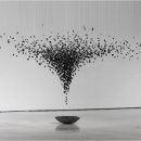 본질을 묻다 이미지