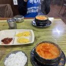 북교 | 제주시 순두부찌개 맛집 북교해바라기 내 돈 내산 방문 후기