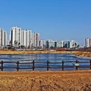 모산골 공원 이미지