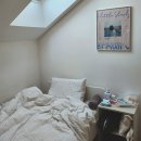 뿐이네민박 | 프라하 한인민박 도브리프라하 내돈내산 추천 후기 + 가격 할인 예약