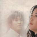 미스오 이미지