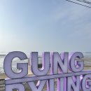 궁평항노래연습장 | [화성/궁평항] 🌊🐟궁평항 횟집 스폐셜 해물삼합 바다향가득 화성 횟집 추천 바다 보며 즐기는 뷰맛집...