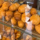 창이대로15번길 | 창원 빵지순례 사파동 소금빵 맛집 시오소코 토요일 웨이팅 후기