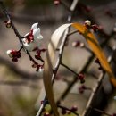 금호동주민자치센터 | 2026.2.12 금호동 주민자치센타 주변