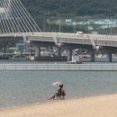 웅천친수공원 이미지