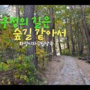 우정의 길은 숲길 같아서 이미지