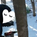 현천농장 이미지