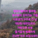 나로호가 우주로 간 날에 건강한 하루 보냅시데이 이미지